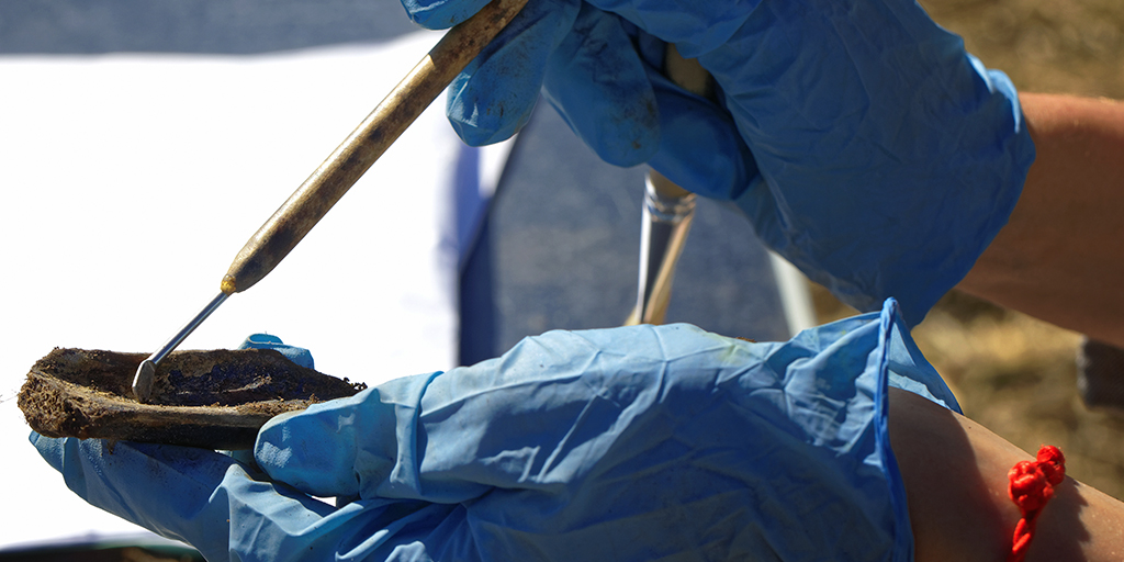 Promega LabBlog - Estrarre DNA da un ciondolo di dente d'alce vecchio 20.000 anni 1