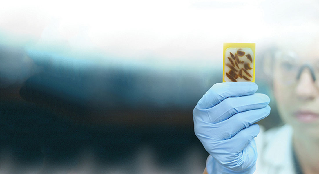 Promega Lab Blog - Migliorare le analisi dei campioni FFPE con la lab automation 1