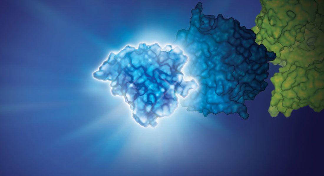Promega Lab Blog - Accendi il cervello! Come marcare l'attività cerebrale con l'Imaging bioluminescente 2
