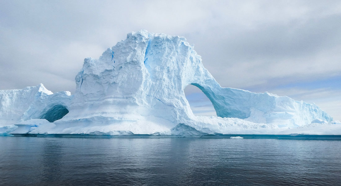 Promega LabBlog - Studio genetico del krill antartico 2