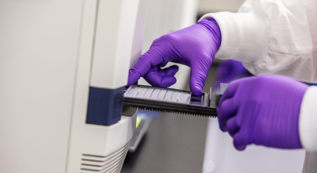 Promega LabBlog - Studio genetico del krill antartico 3