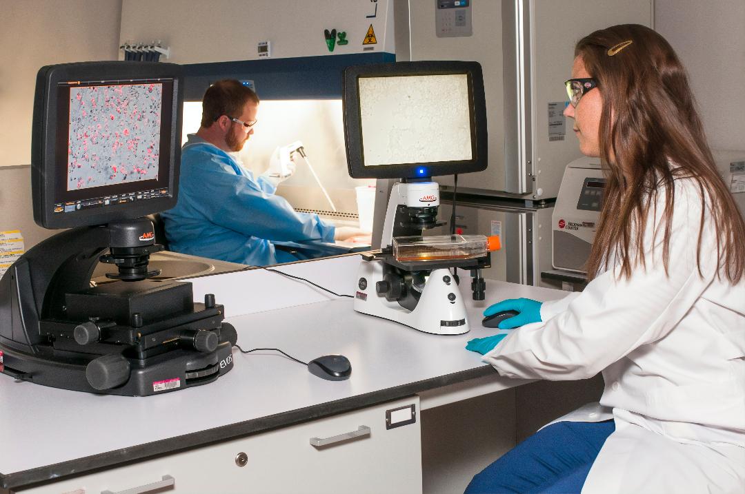 Promega-lab-blog-lab-distance-tips-2