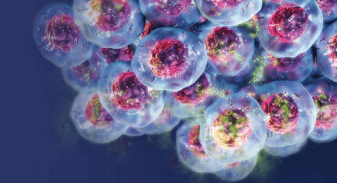 Promega LabBlog - Steatosi epatica non alcolica (NAFLD): cos'è è perché monitorare il metabolismo cellulare aiuta la ricerca1 