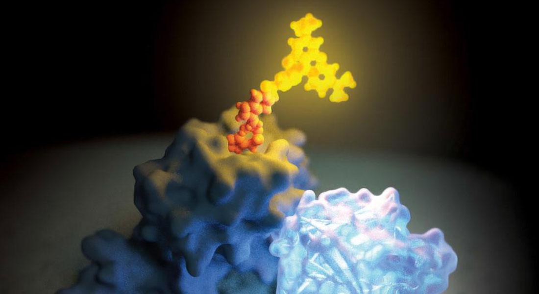 Promega-LabBlog-nanoluc-luciferasi3