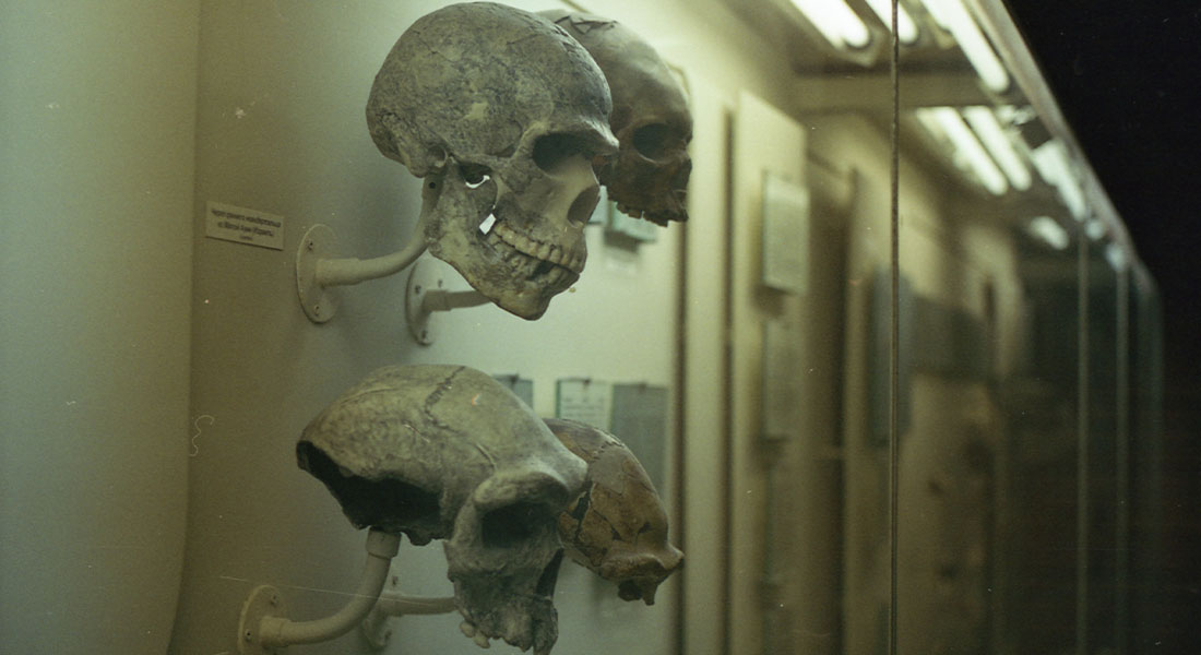 Promega Lab Blog - Cosa ci rende umani? Il lavoro sul DNA Neanderthal del neo premio Nobel Svante Pääbo 1