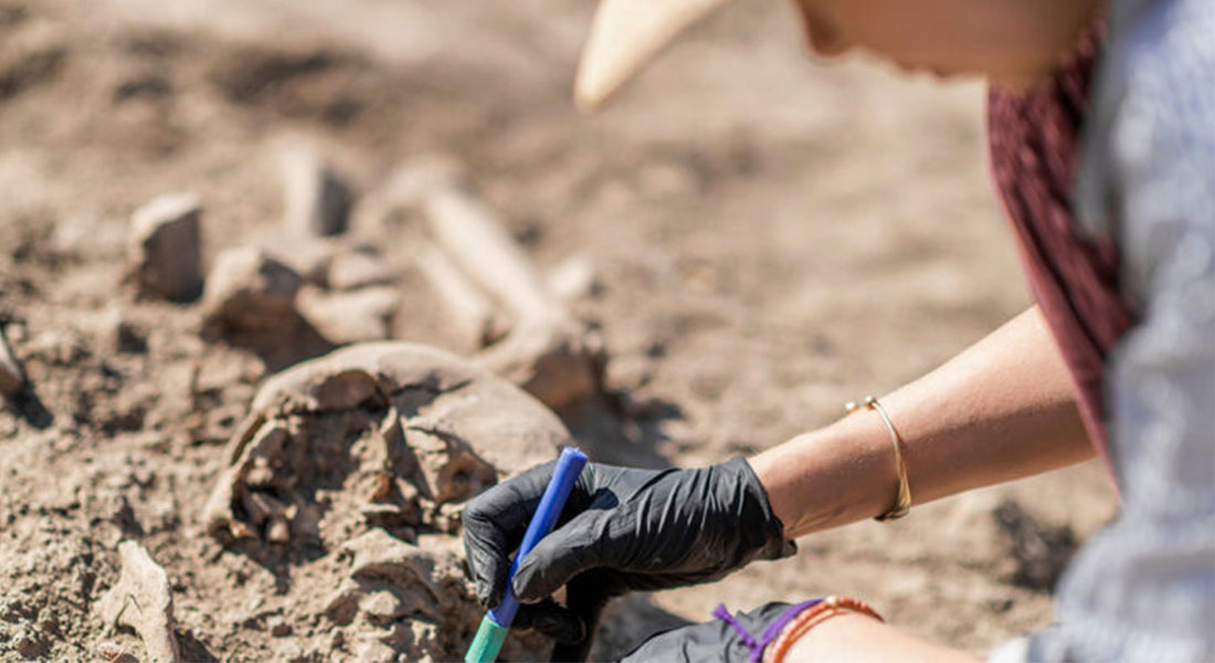 Promega Lab Blog - Cosa ci rende umani? Il lavoro sul DNA Neanderthal del neo premio Nobel Svante Pääbo 2