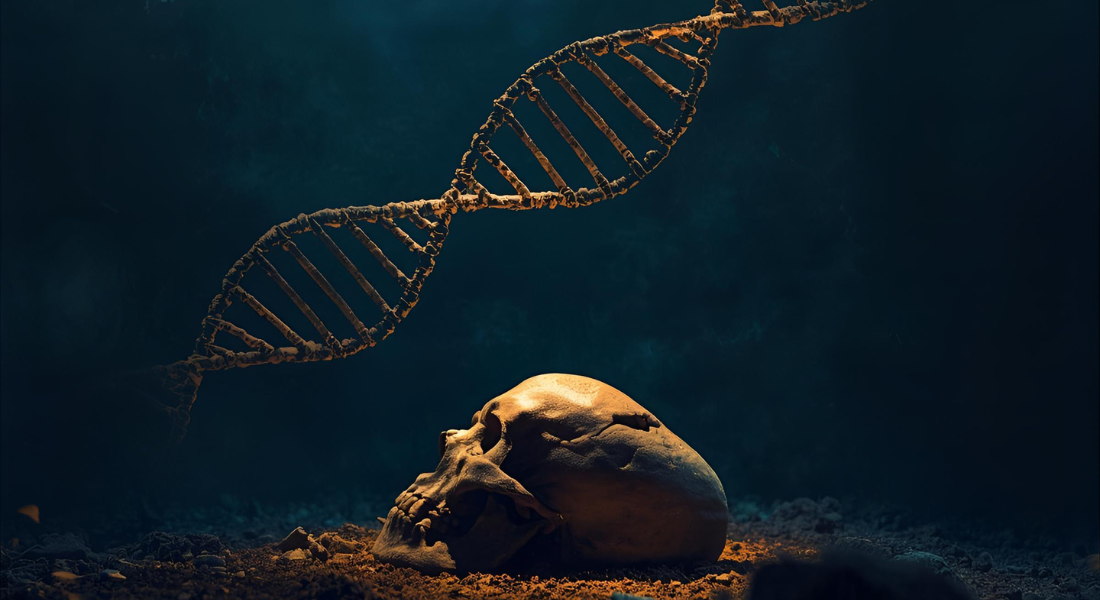Promega Lab Blog - Ossa, sangue e segreti: quando il DNA riscrive la storia, oltre la leggenda 1