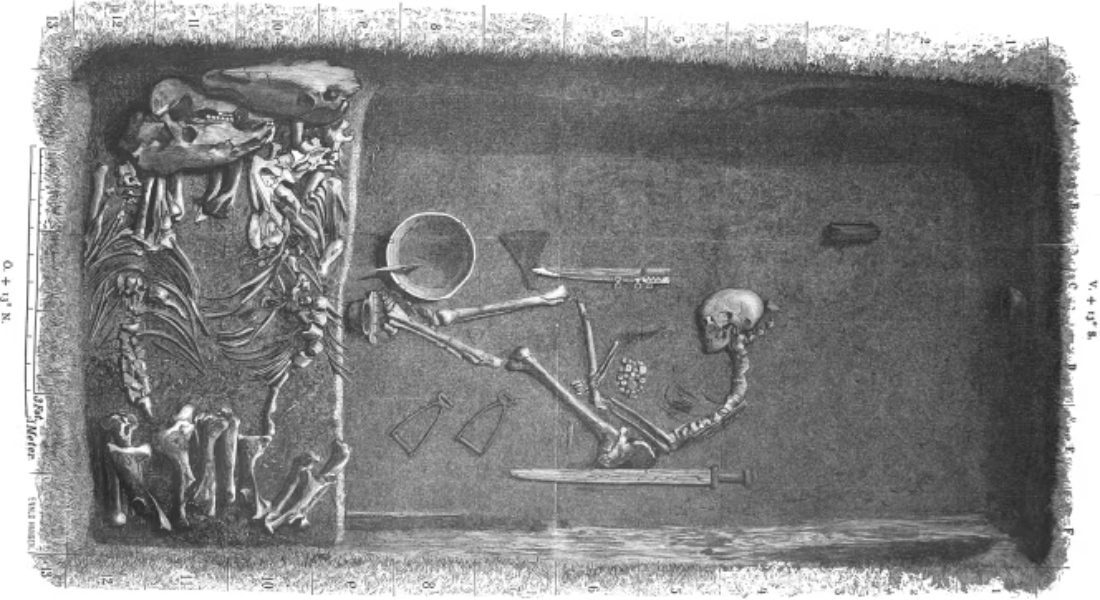 Promega Lab Blog - Ossa, sangue e segreti: quando il DNA riscrive la storia, oltre la leggenda 3