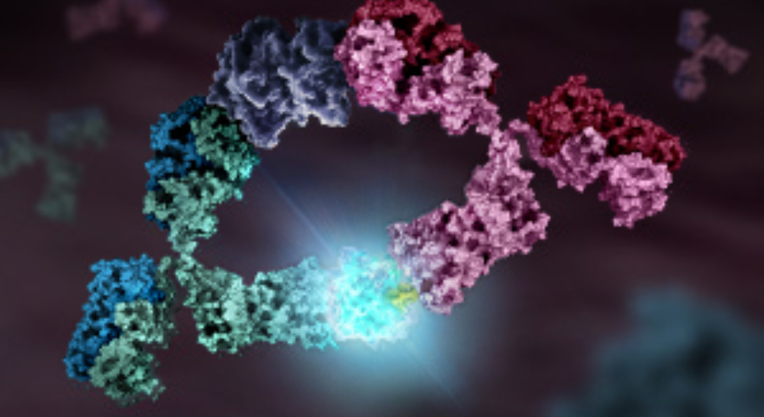 Lab Blog - Quando i neuroni brillano: un nuovo modello per studiare il Parkinson 2