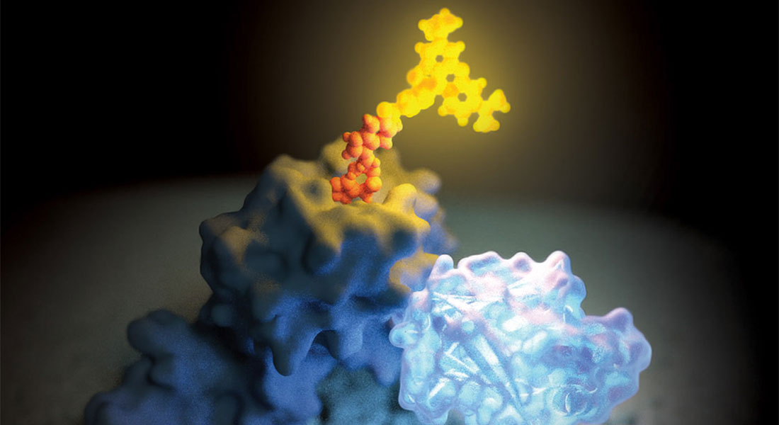 Promega - PROTAC: le domande più frequenti sulla degradazione proteica mirata  4