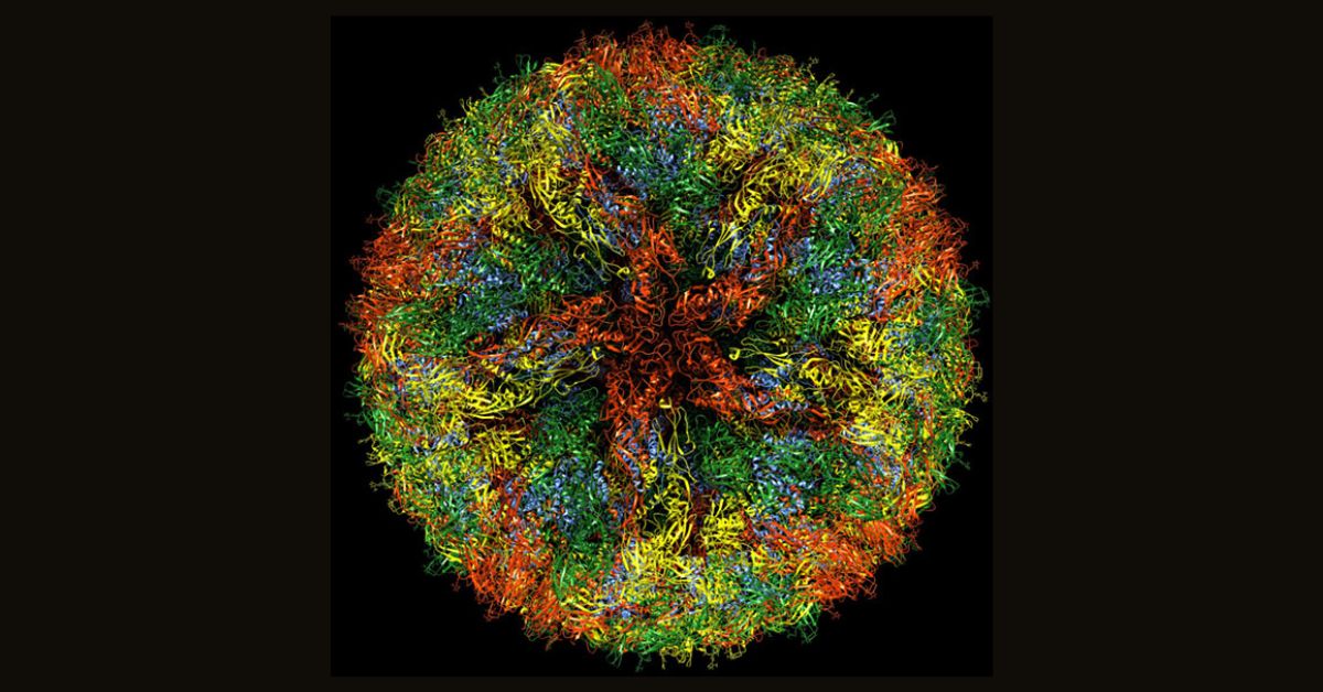 Promega Lab Blog - Cancro e Retrovirus antichi: il ruolo dei retrovirus endogeni nei cambiamenti trascrizionali delle cellule tumorali 3