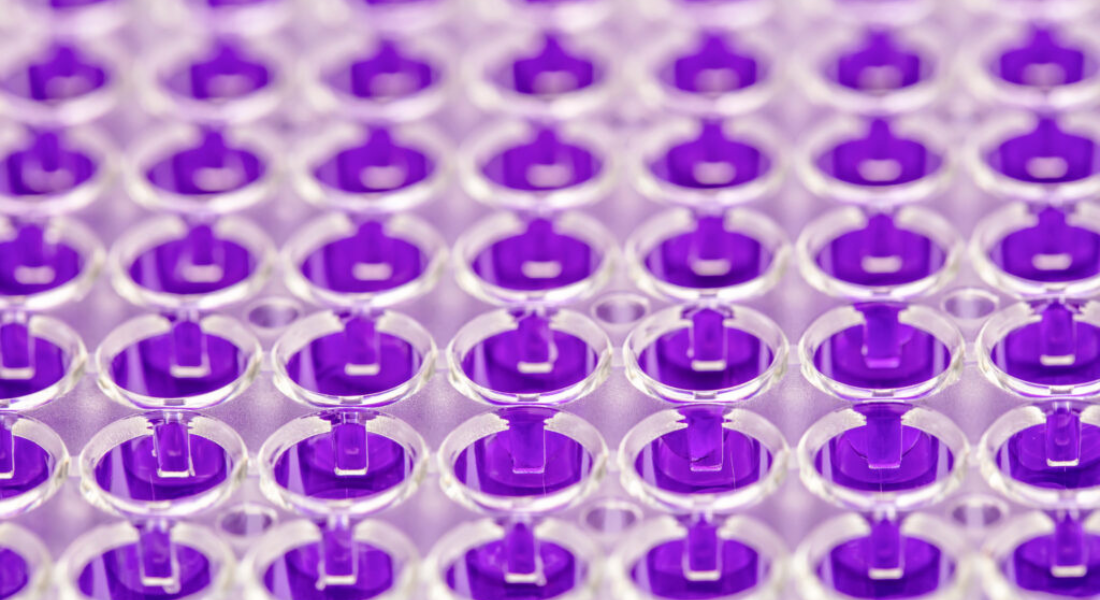 Promega Lab Blog - Cosa fare quando la RT-qPCR non funziona? Rispondiamo alle 5 domande più comuni 2