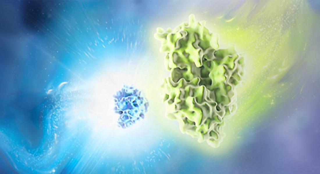 Promega-Lab-Blog-Semenza-Ipossia-3