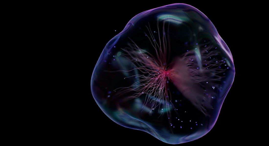 Promega Lab Blog - Senescenza cellulare e terapie oncologiche: superare l'immortalità 1