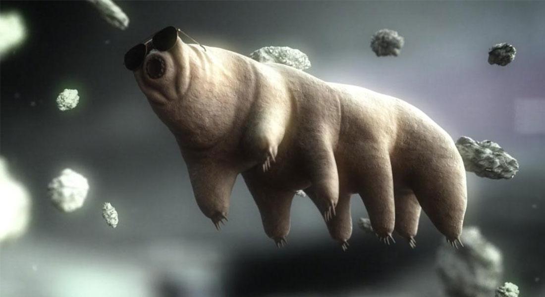 Promega-Lab-Blog-Storie-Non-Covid-1