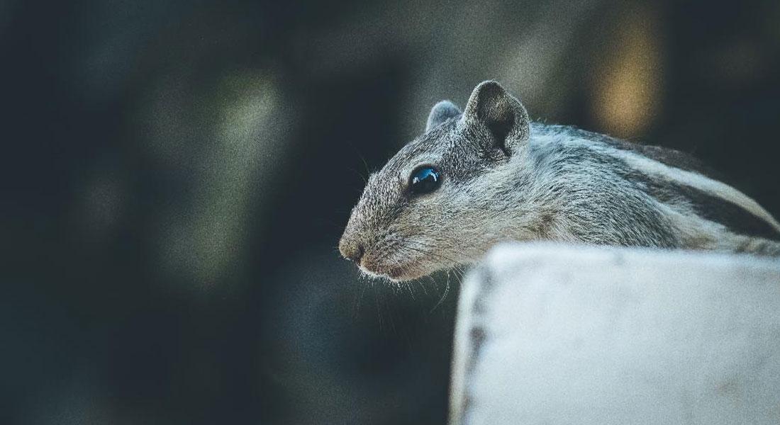 Promega-Lab-Blog-Storie-Non-Covid-2