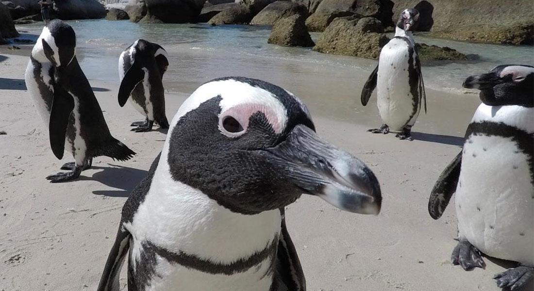 Promega-Lab-Blog-Storie-Non-Covid-3