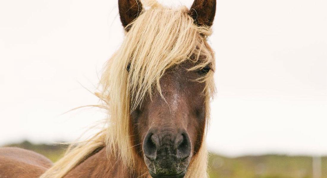 Promega-Lab-Blog-Storie-Non-Covid-4