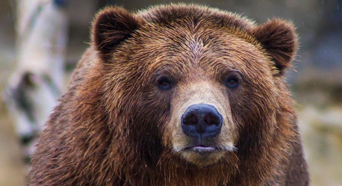 Promega-Lab-Blog-Storie-Non-Covid-5