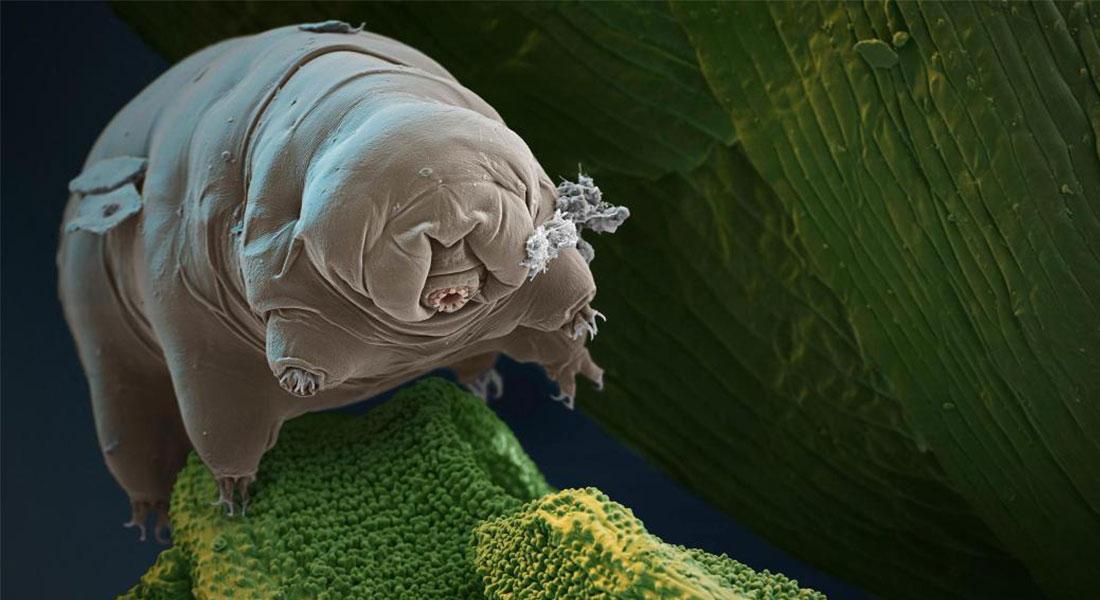 Promega-Lab-Blog-Storie-Non-Covid-6