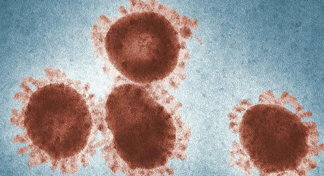 Promega-lab-blog-tempeste-citochine-2