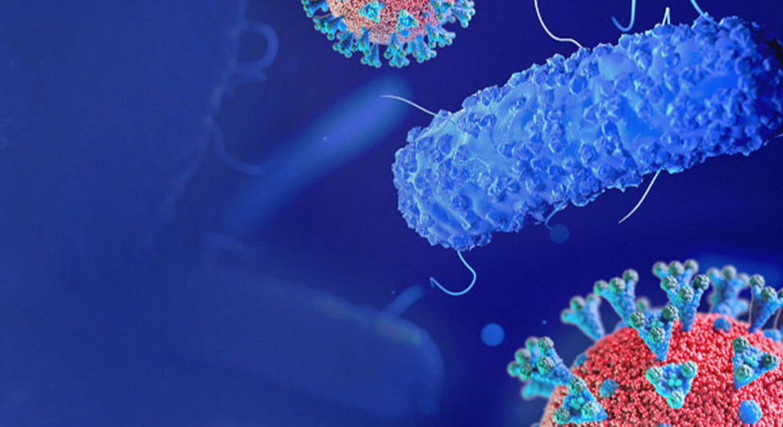 Promega LabBlog - Combattere la resistenza agli antibiotici con la terapia fagica 2