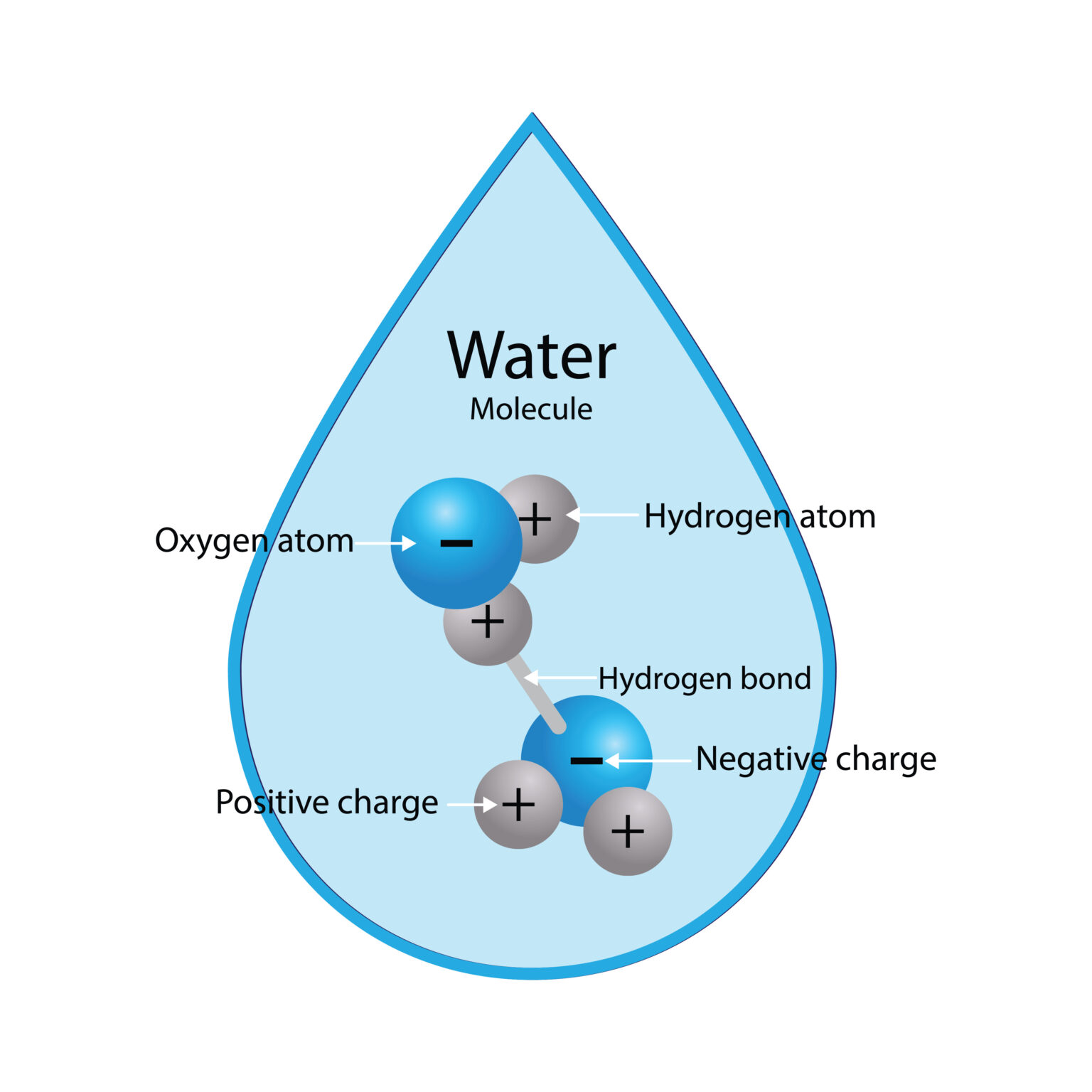 Lab Blog - Lo strano caso del ghiaccio scivoloso: chi è il colpevole?  4