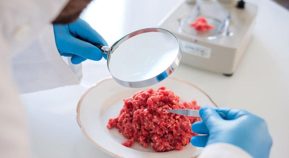 Promega-lab-blog-cibo-plant-based-3