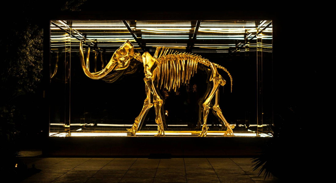 Promega Lab Blog - Congelati nel tempo: l’RNA racconta i mammut 2