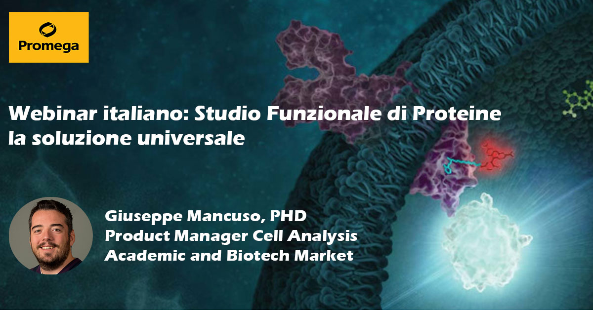 it-webinar-halotag-webpage