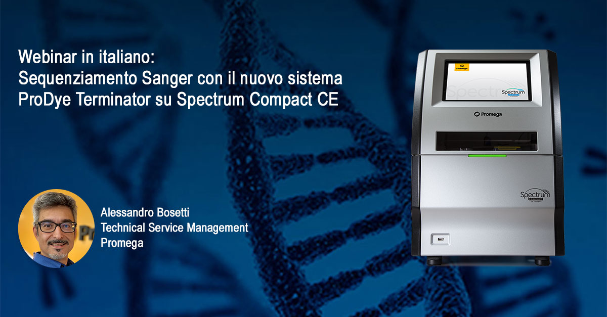 it-webpage-webinar-prodye