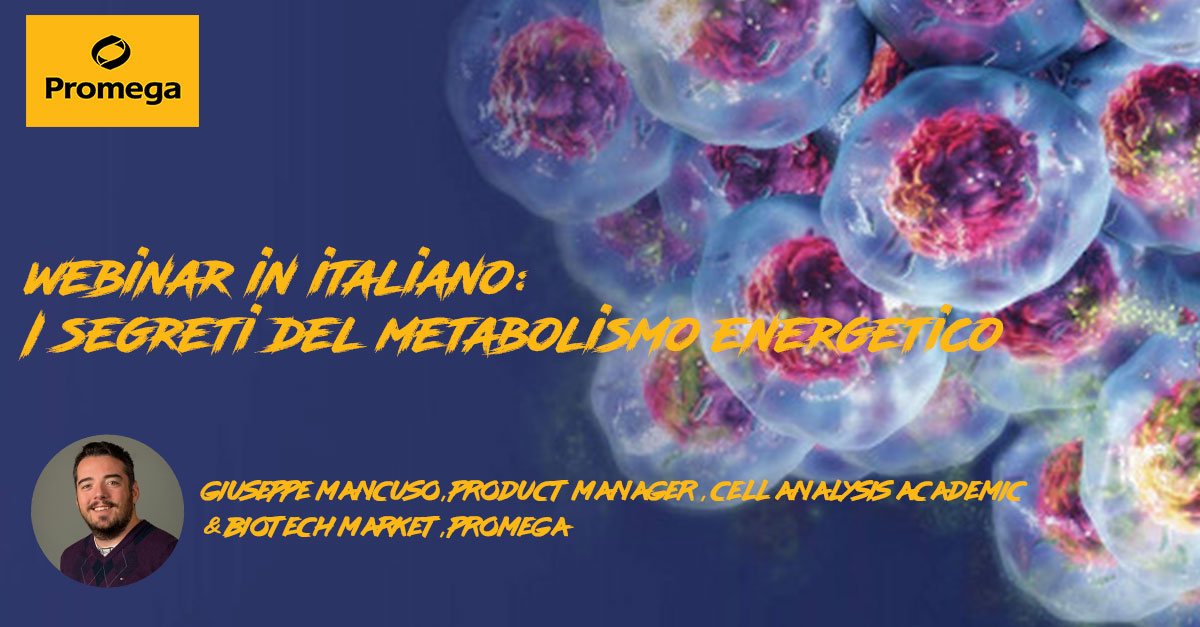 ita-webinar-metabolismo