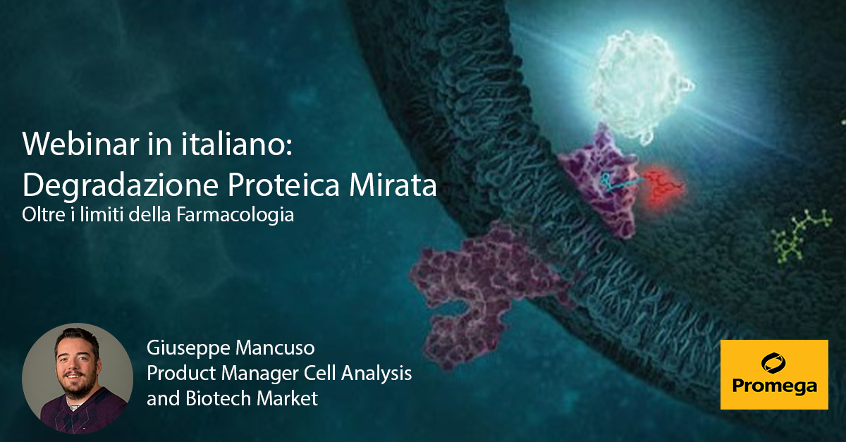 ita-webinar-page-degradazione-proteica