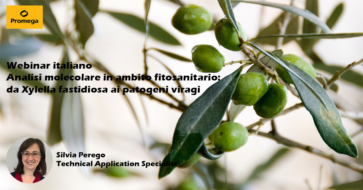 webinar-italiano-promega-xylella