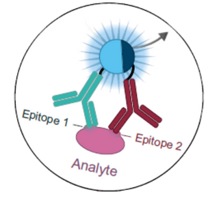 ita-promo-lumit-elisa4