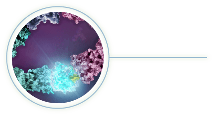 Lumit Technology 3D Image