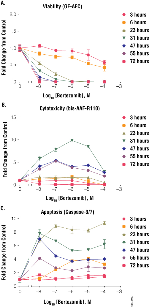Treatment of Jurkat cells with bortezomib.