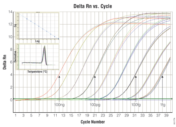 A6010 2-Step Real-Time PCR & qPCR Kit