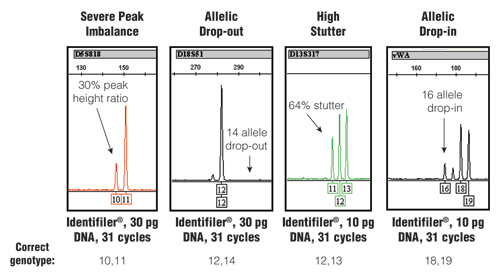 Stochastic effects that randomly occur when PCR amplifying low amounts of DNA using an increased number of PCR cycles.