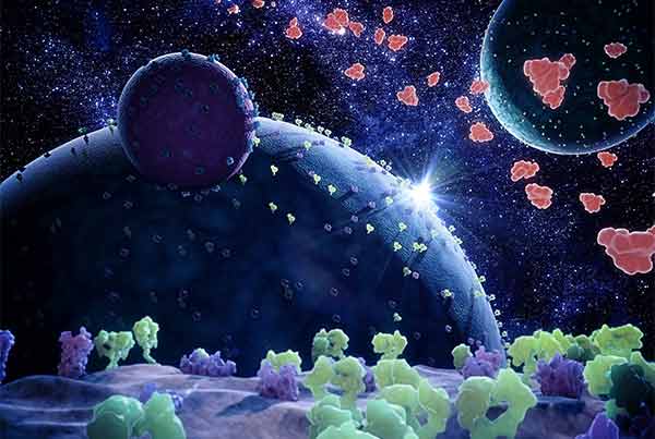 HiBiT Enabling Research Frontiers