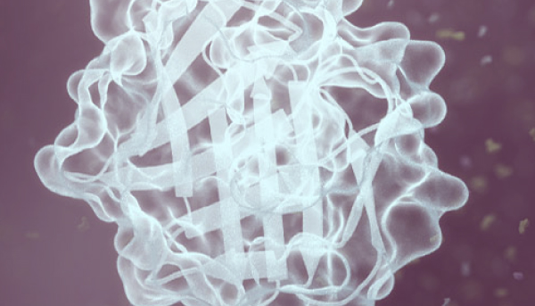 50845545-nanoluc-addres-tiles-320x290-4